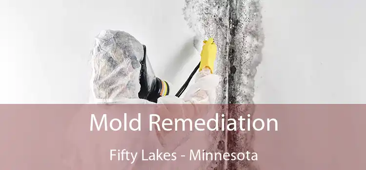 Mold Remediation Fifty Lakes - Minnesota