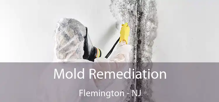 Mold Remediation Flemington - NJ