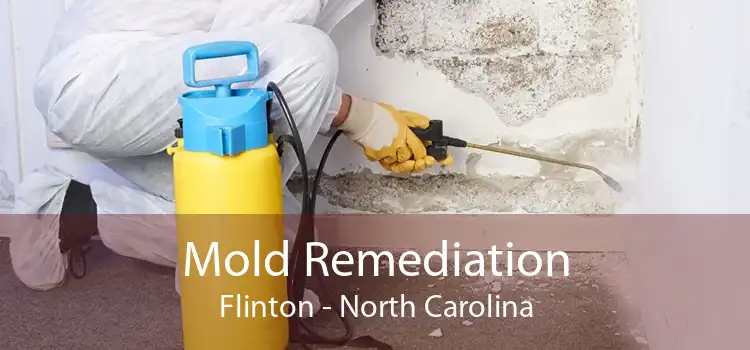 Mold Remediation Flinton - North Carolina