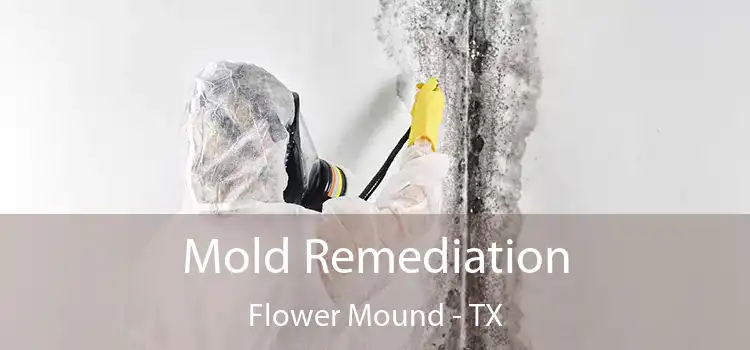 Mold Remediation Flower Mound - TX