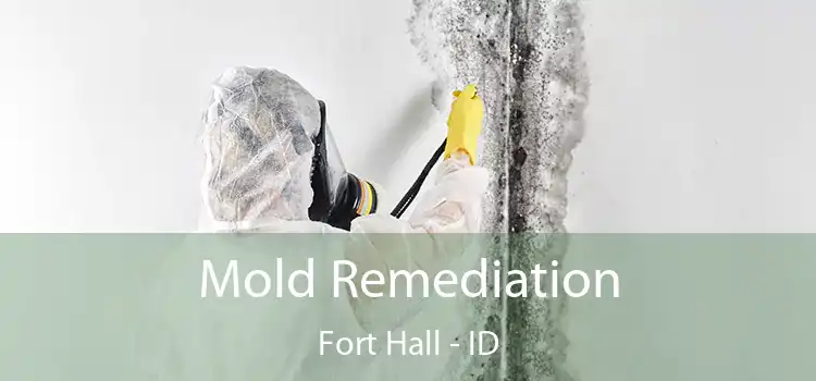 Mold Remediation Fort Hall - ID