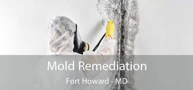 Mold Remediation Fort Howard - MD