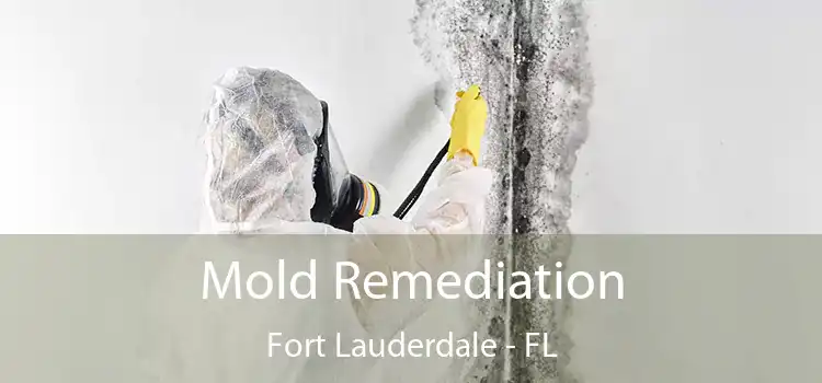 Mold Remediation Fort Lauderdale - FL