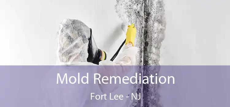 Mold Remediation Fort Lee - NJ