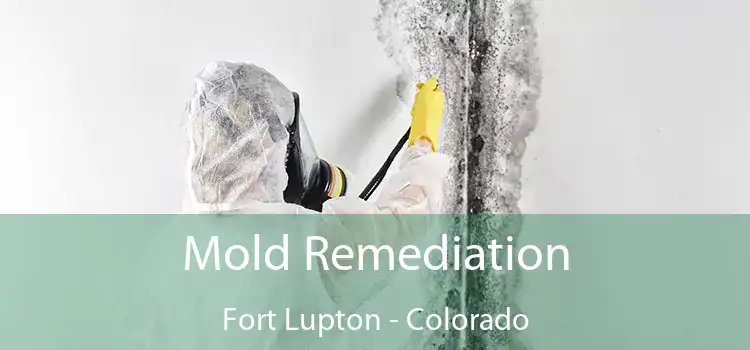 Mold Remediation Fort Lupton - Colorado