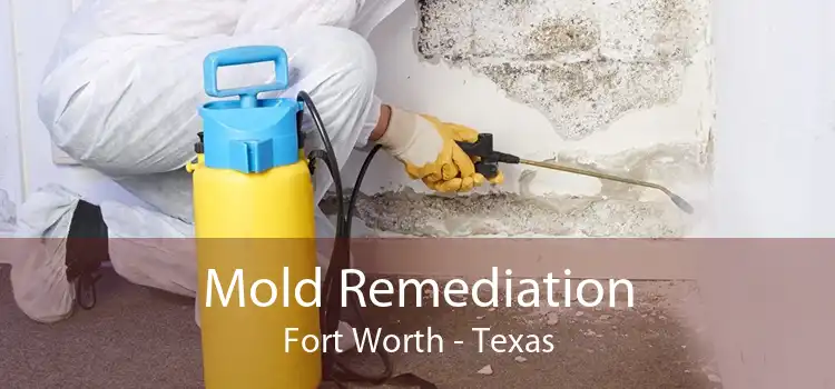 Mold Remediation Fort Worth - Texas