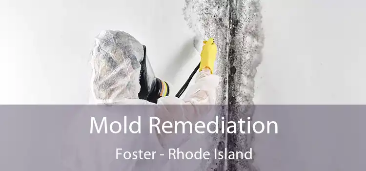 Mold Remediation Foster - Rhode Island