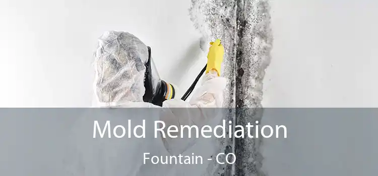 Mold Remediation Fountain - CO