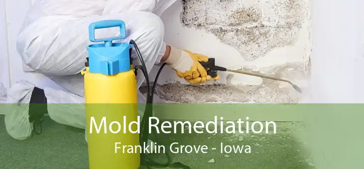 Mold Remediation Franklin Grove - Iowa