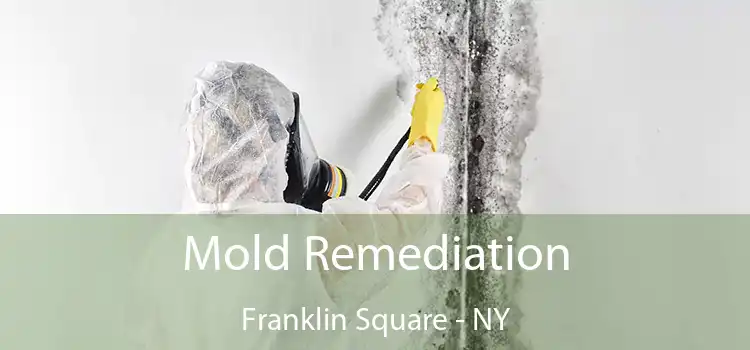 Mold Remediation Franklin Square - NY