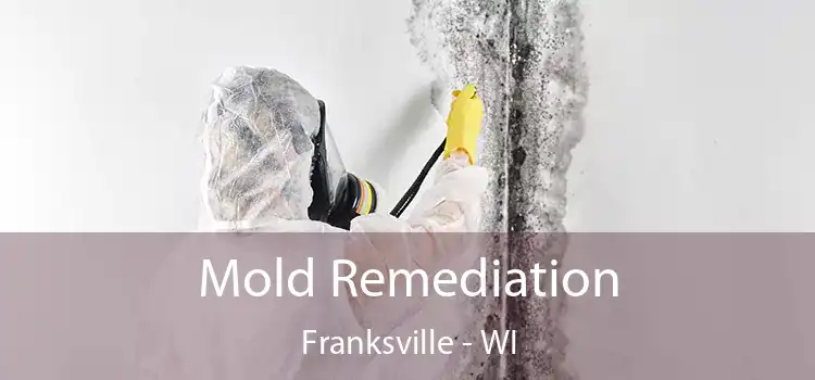 Mold Remediation Franksville - WI