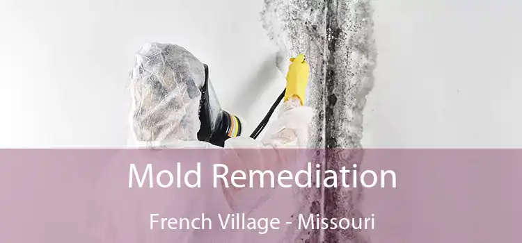 Mold Remediation French Village - Missouri