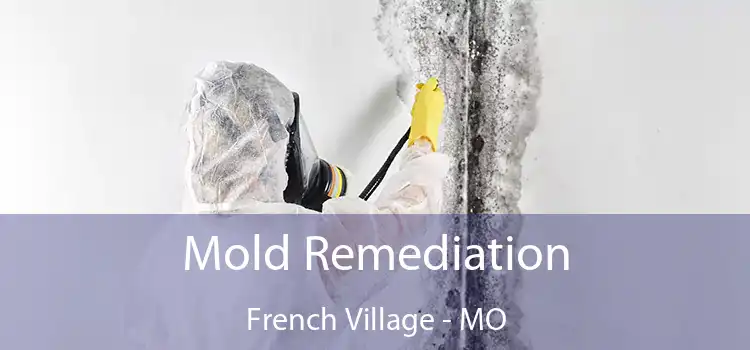 Mold Remediation French Village - MO