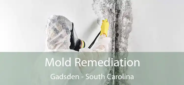 Mold Remediation Gadsden - South Carolina