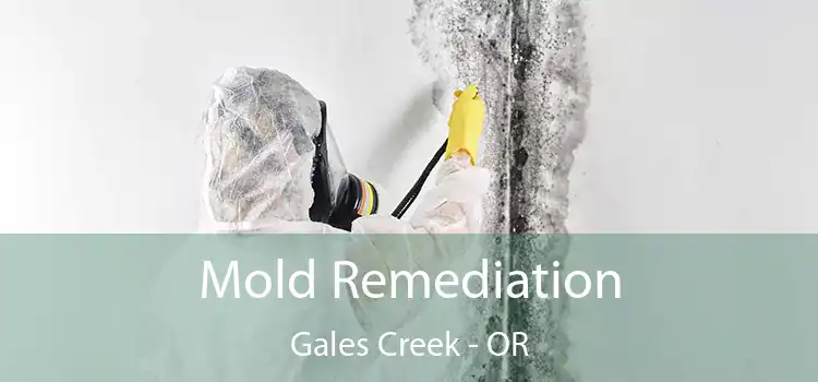 Mold Remediation Gales Creek - OR