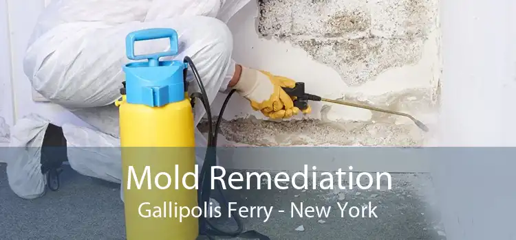 Mold Remediation Gallipolis Ferry - New York