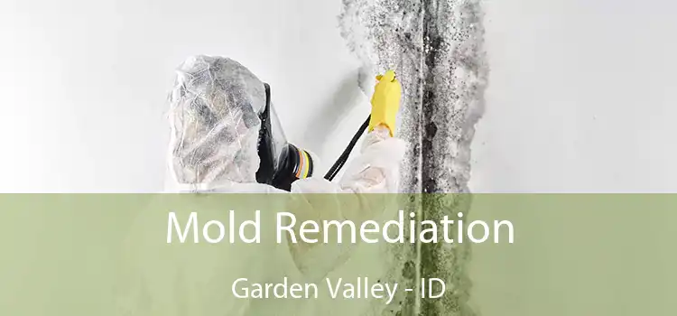 Mold Remediation Garden Valley - ID