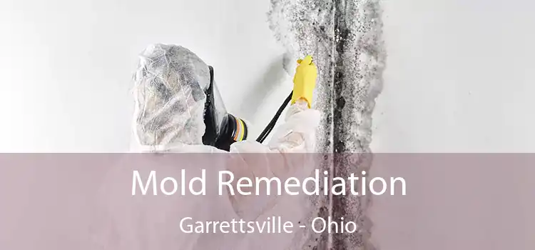 Mold Remediation Garrettsville - Ohio