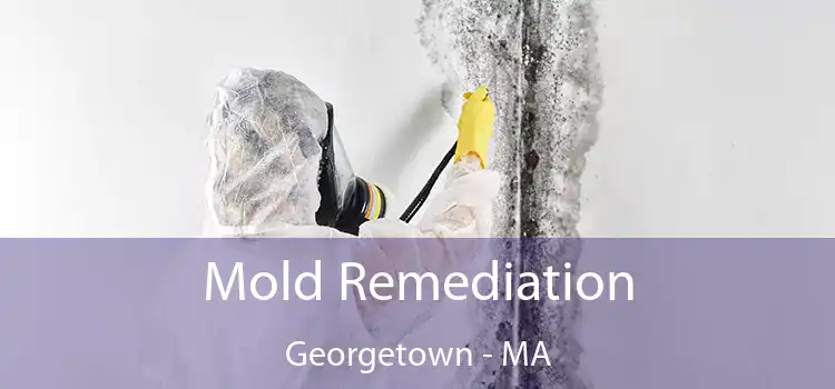 Mold Remediation Georgetown - MA