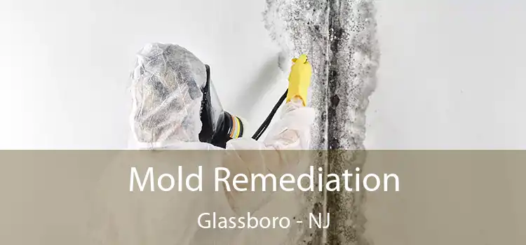 Mold Remediation Glassboro - NJ