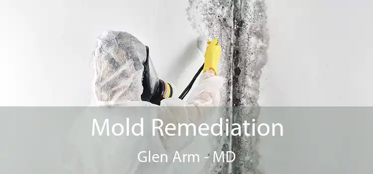 Mold Remediation Glen Arm - MD