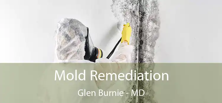 Mold Remediation Glen Burnie - MD