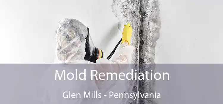 Mold Remediation Glen Mills - Pennsylvania