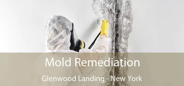 Mold Remediation Glenwood Landing - New York