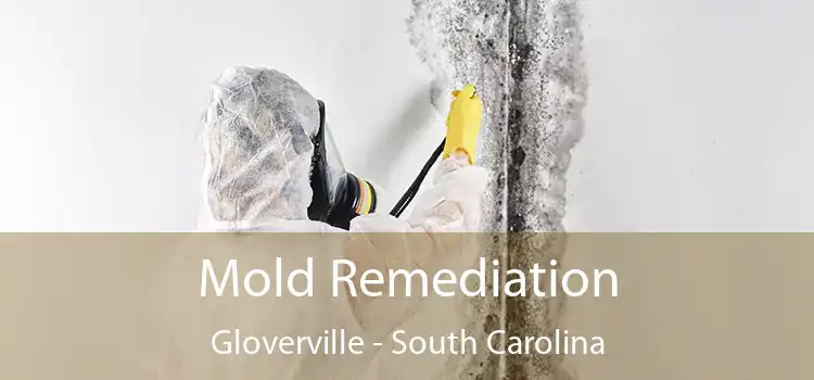 Mold Remediation Gloverville - South Carolina