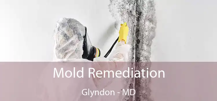 Mold Remediation Glyndon - MD