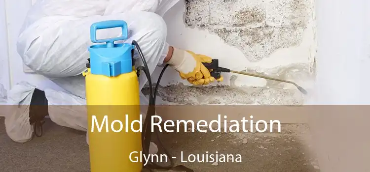 Mold Remediation Glynn - Louisiana