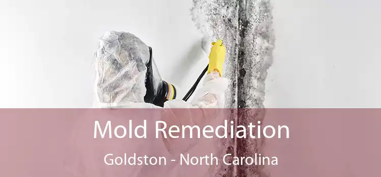 Mold Remediation Goldston - North Carolina