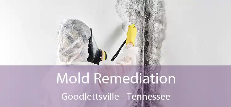 Mold Remediation Goodlettsville - Tennessee