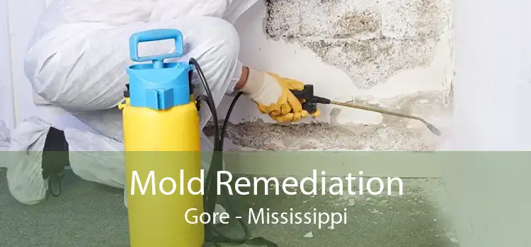 Mold Remediation Gore - Mississippi