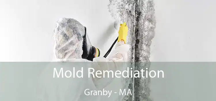 Mold Remediation Granby - MA