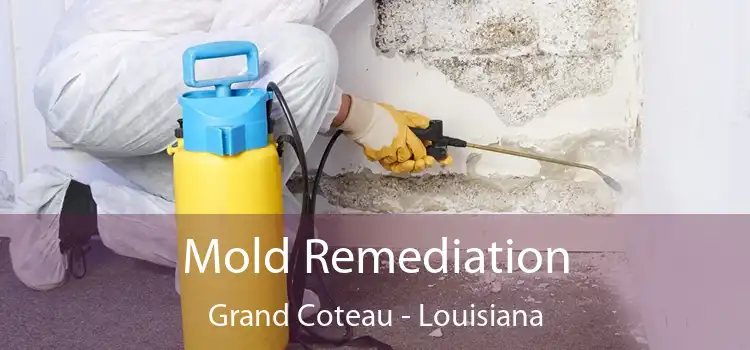 Mold Remediation Grand Coteau - Louisiana