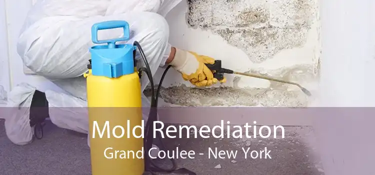 Mold Remediation Grand Coulee - New York
