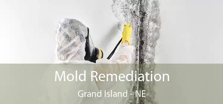 Mold Remediation Grand Island - NE