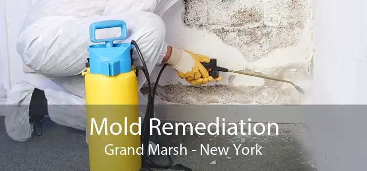 Mold Remediation Grand Marsh - New York