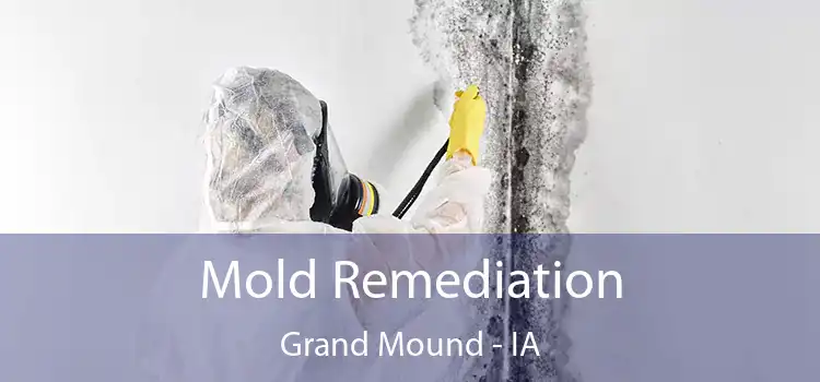 Mold Remediation Grand Mound - IA