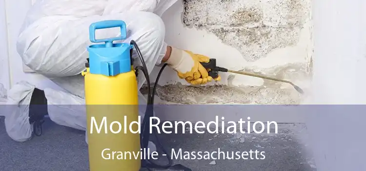 Mold Remediation Granville - Massachusetts