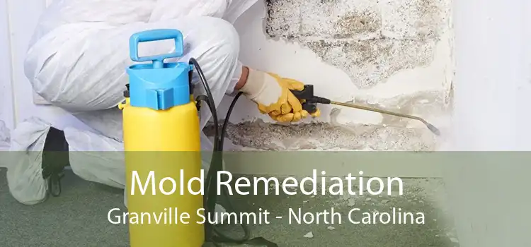 Mold Remediation Granville Summit - North Carolina