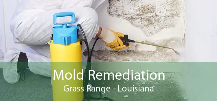 Mold Remediation Grass Range - Louisiana