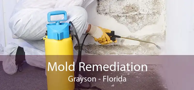 Mold Remediation Grayson - Florida