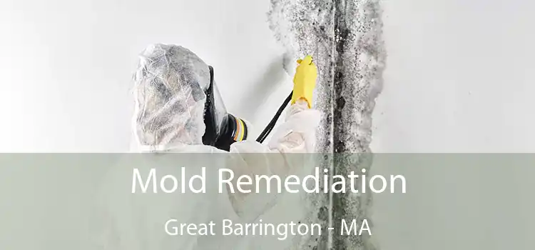 Mold Remediation Great Barrington - MA