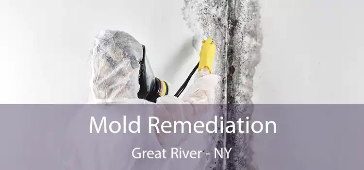 Mold Remediation Great River - NY