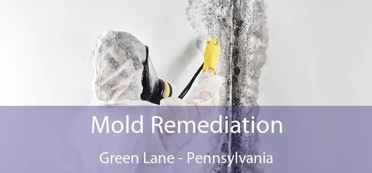 Mold Remediation Green Lane - Pennsylvania