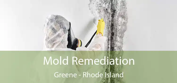 Mold Remediation Greene - Rhode Island