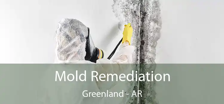 Mold Remediation Greenland - AR