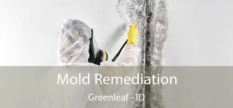 Mold Remediation Greenleaf - ID